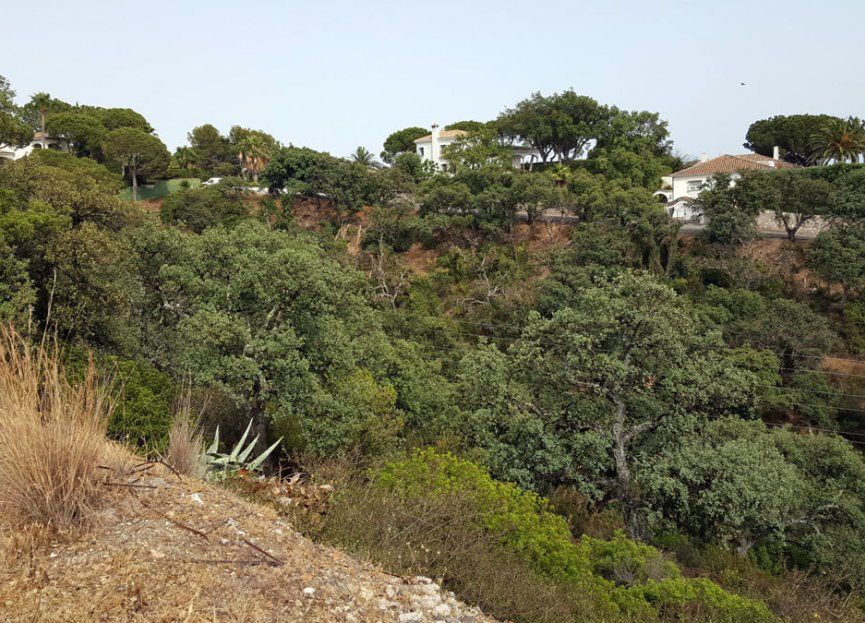 New Build - Plot - Residential Plot - Marbella - Elviria