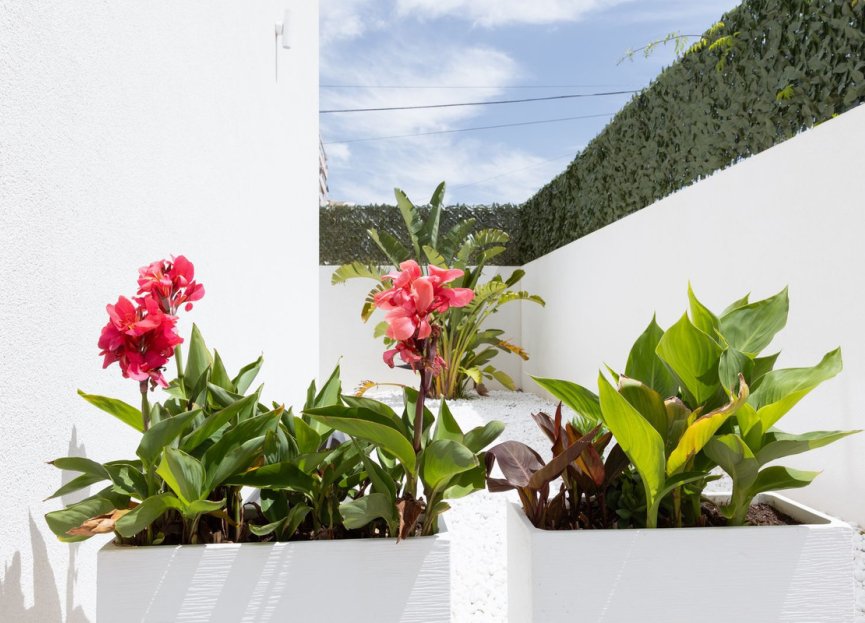 Resale - House - Detached Villa - Benalmádena - Benalmadena Centro