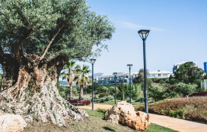 Resale - Apartment - Middle Floor Apartment - Estepona - Estepona Centro