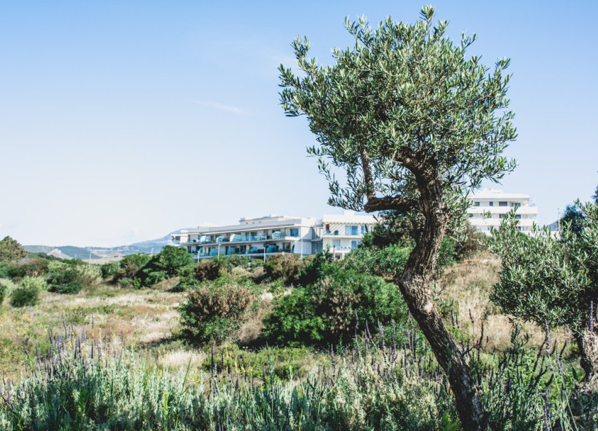 Resale - Apartment - Middle Floor Apartment - Estepona - Estepona Centro