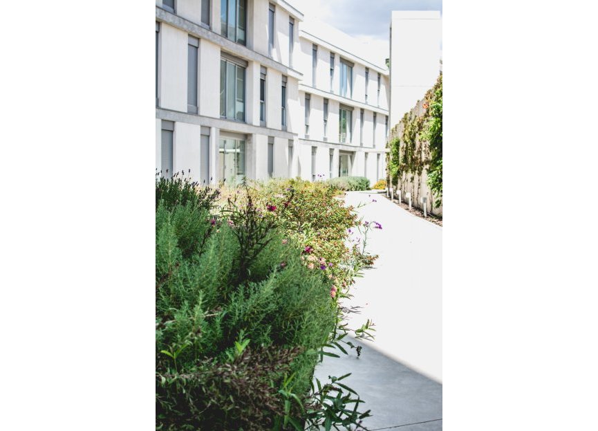 Resale - Apartment - Middle Floor Apartment - Estepona - Estepona Centro