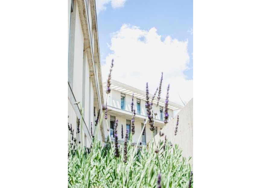 Resale - Apartment - Middle Floor Apartment - Estepona - Estepona Centro