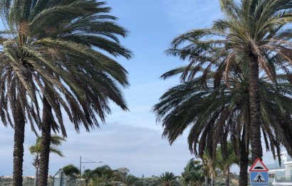 Reventa - Ground floor apartment - Estepona - Estepona Centro