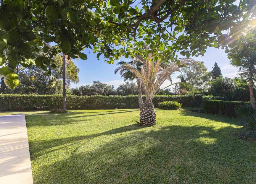 Resale - House - Detached Villa - Marbella - San Pedro De Alcantara