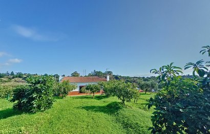 Reventa - House - Finca - Cortijo - Estepona - El Padron