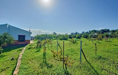 Reventa - House - Finca - Cortijo - Estepona - El Padron