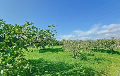 Reventa - House - Finca - Cortijo - Estepona - El Padron