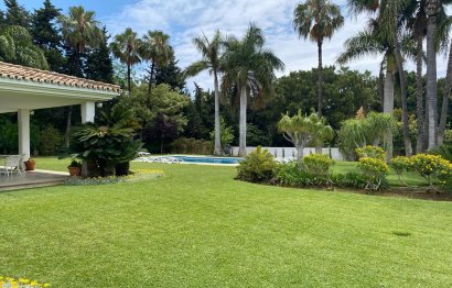 Resale - House - Detached Villa - Marbella - Guadalmina Baja