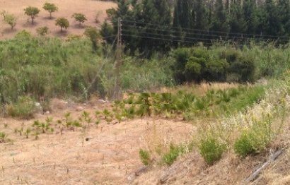 Resale - Plot - Land - Estepona - Estepona Centro