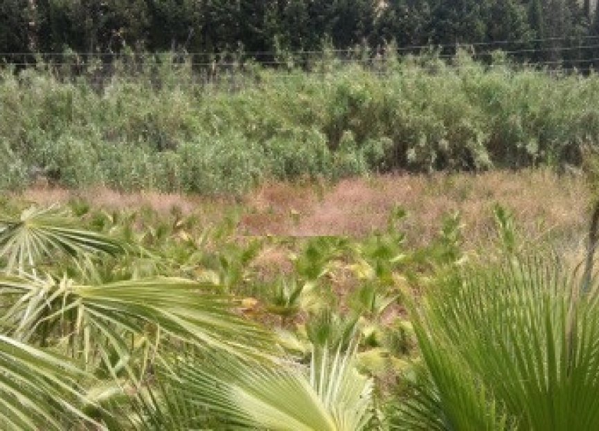 Resale - Plot - Land - Estepona - Estepona Centro