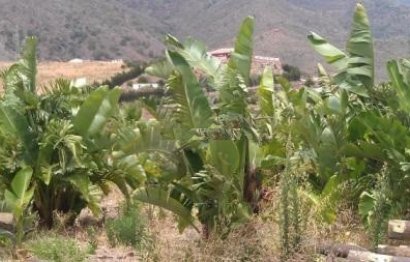 Resale - Plot - Land - Estepona - Estepona Centro