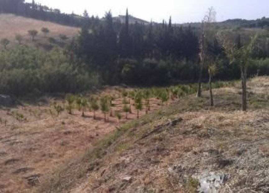 Resale - Plot - Land - Estepona - Estepona Centro