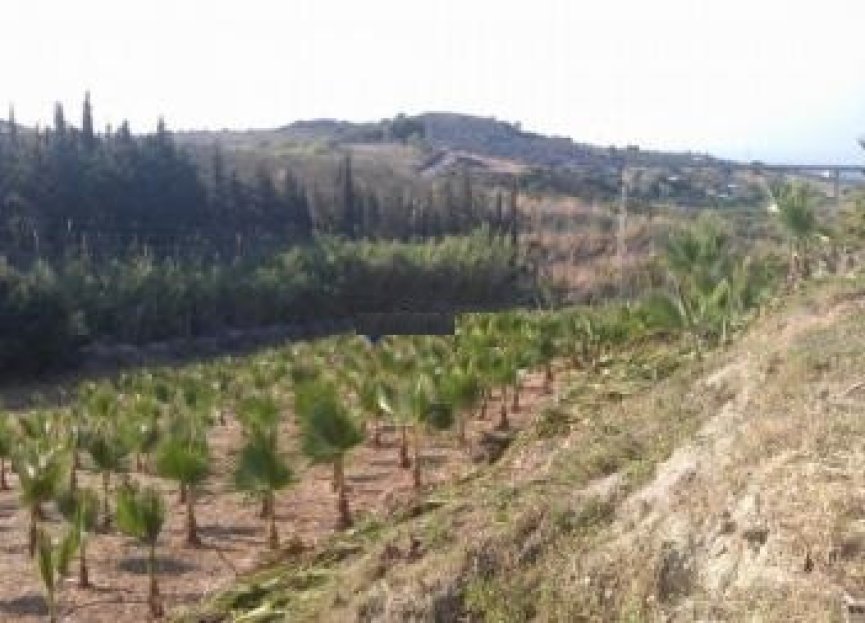 Resale - Plot - Land - Estepona - Estepona Centro