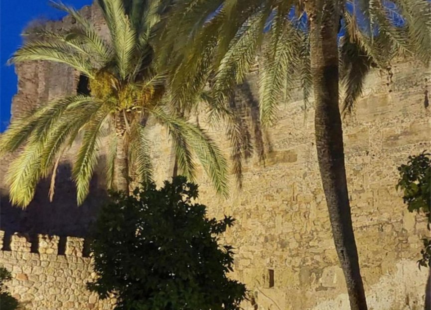 Reventa - Plot - Residential Plot - Marbella - Marbella Centro