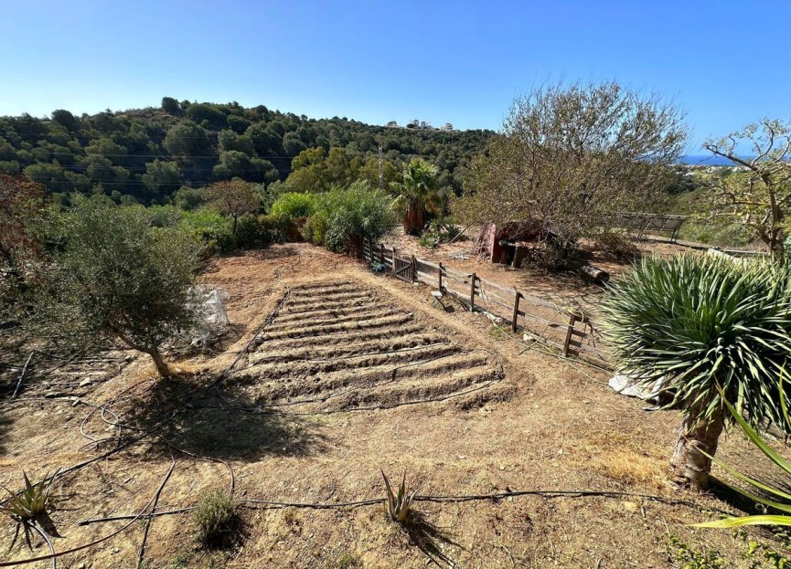 Reventa - Plot - Land - Marbella - Cabopino