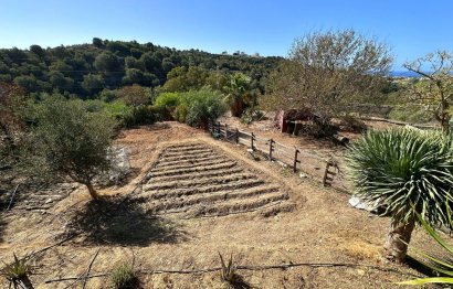 Reventa - Plot - Land - Marbella - Cabopino