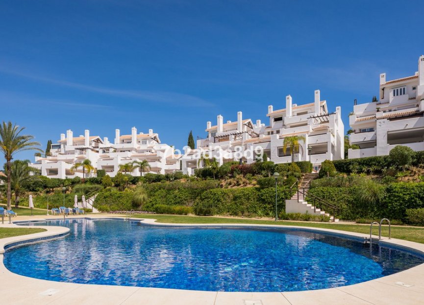 Resale - Apartment - Middle Floor Apartment - Marbella - Los Monteros