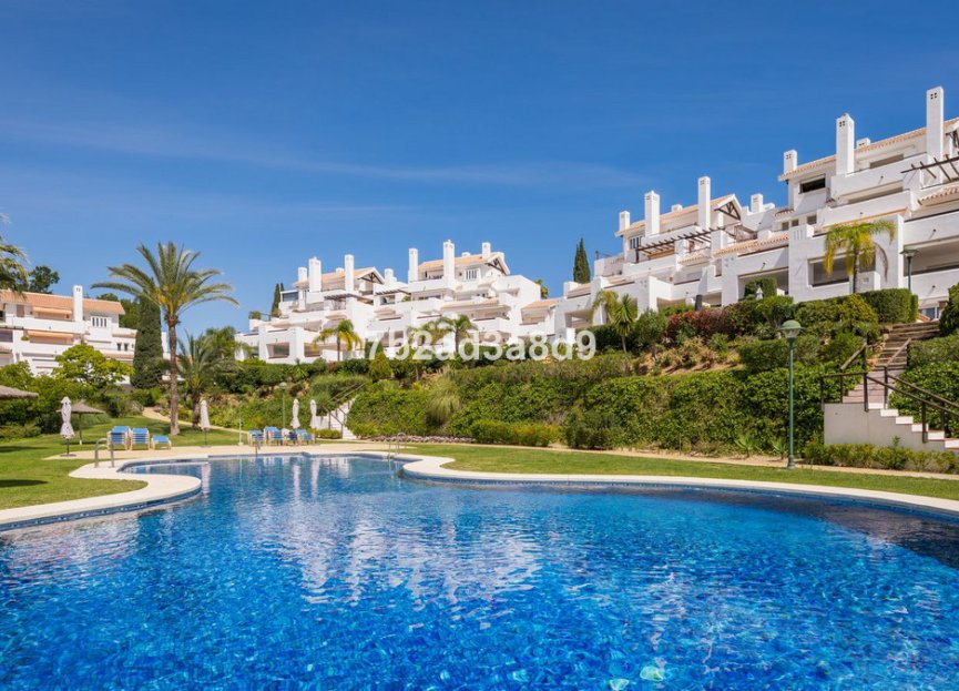 Resale - Apartment - Middle Floor Apartment - Marbella - Los Monteros