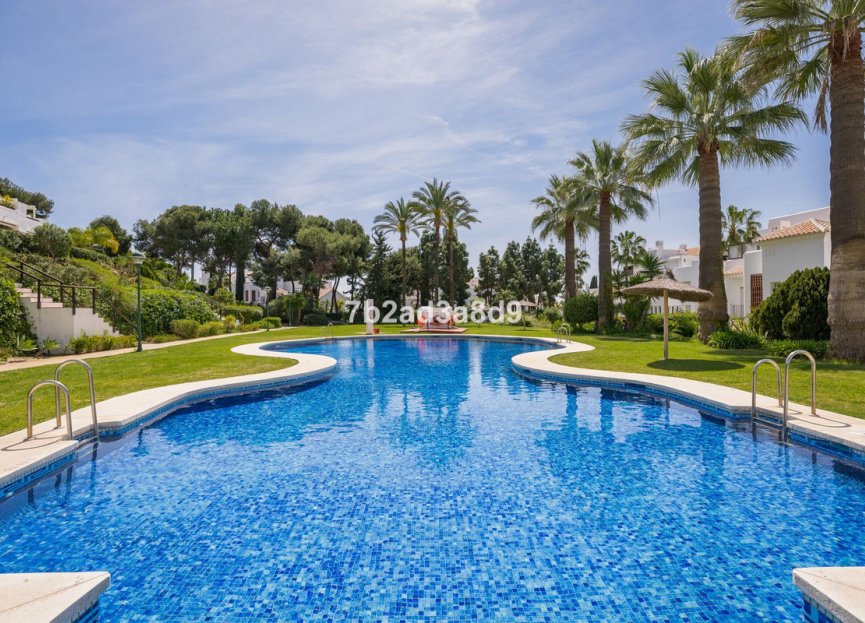 Resale - Apartment - Middle Floor Apartment - Marbella - Los Monteros