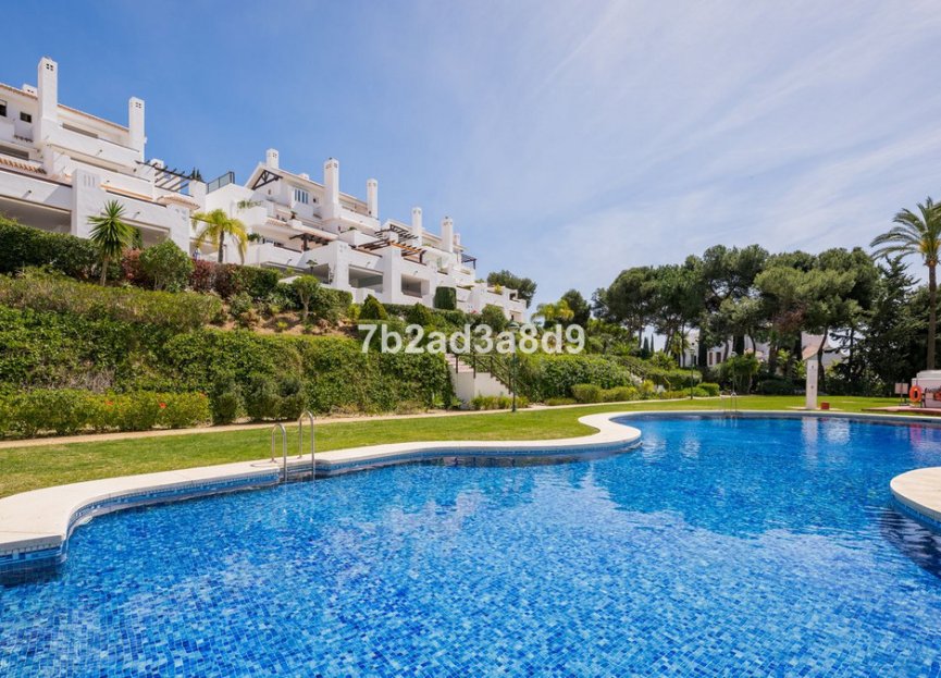 Resale - Apartment - Middle Floor Apartment - Marbella - Los Monteros