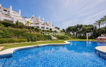 Resale - Apartment - Middle Floor Apartment - Marbella - Los Monteros