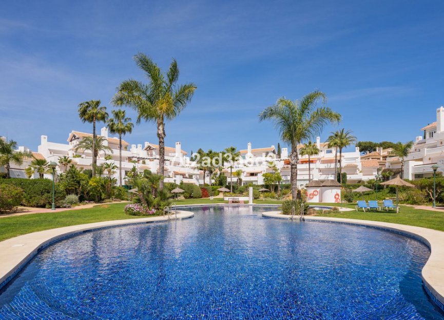 Resale - Apartment - Middle Floor Apartment - Marbella - Los Monteros