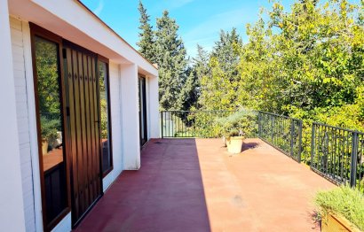Resale - House - Finca - Cortijo - Marbella - Las Chapas