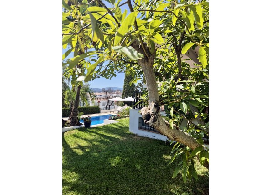 Resale - House - Detached Villa - Marbella - La Campana