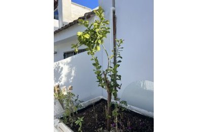 Reventa - House - Townhouse - Marbella - Nueva Andalucia