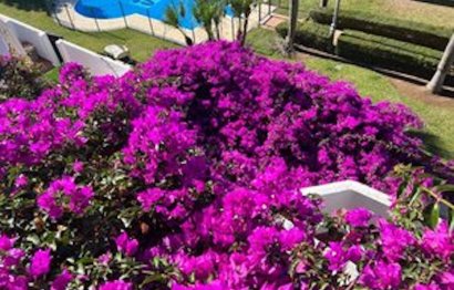 Reventa - House - Townhouse - Marbella - Nueva Andalucia