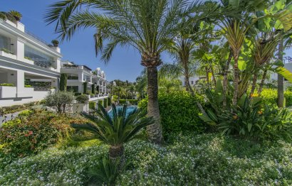 Resale - Apartment - Penthouse - Estepona - Estepona Centro