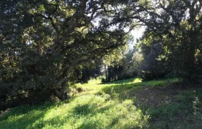 Reventa - Plot - Residential Plot - Sotogrande