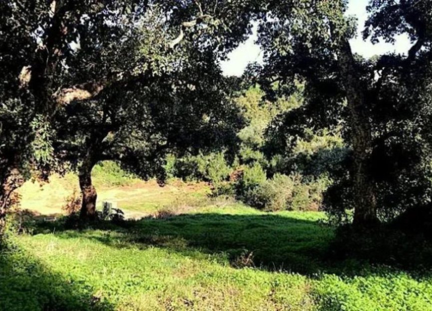 Reventa - Plot - Residential Plot - Sotogrande