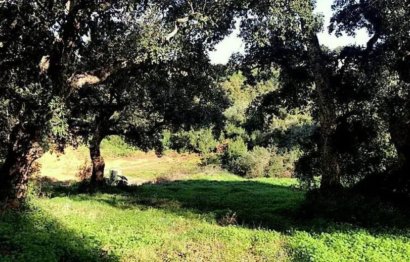 Reventa - Plot - Residential Plot - Sotogrande