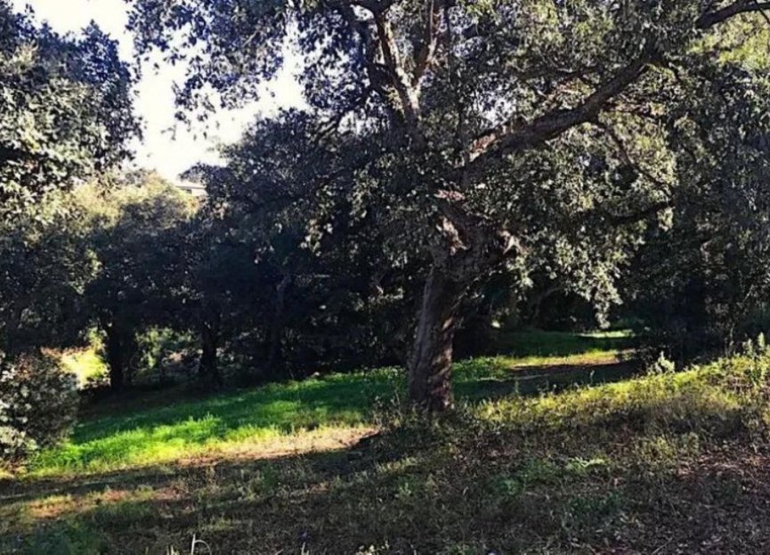 Reventa - Plot - Residential Plot - Sotogrande