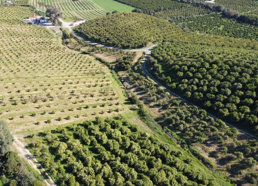 Resale - Plot - Land - Casares - Casares Centro