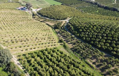 Resale - Plot - Land - Casares - Casares Centro