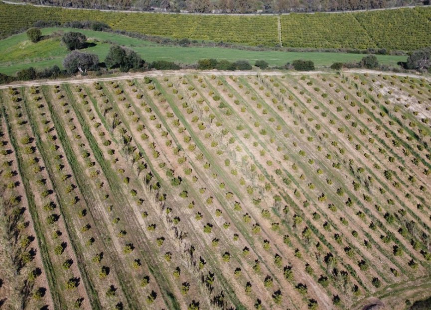 Resale - Plot - Land - Casares - Casares Centro