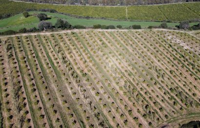 Resale - Plot - Land - Casares - Casares Centro