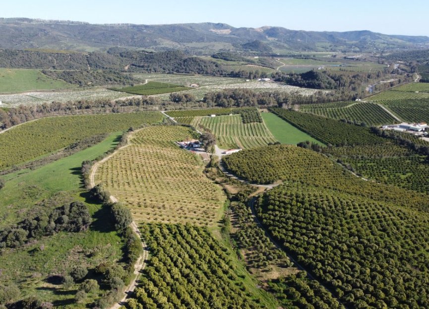 Resale - Plot - Land - Casares - Casares Centro