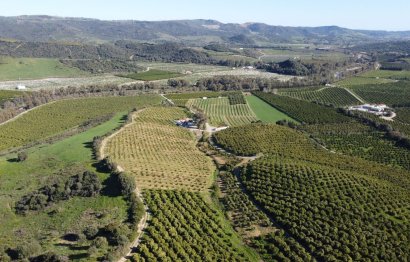 Resale - Plot - Land - Casares - Casares Centro