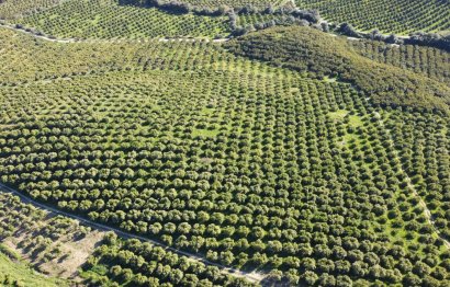 Resale - Plot - Land - Casares - Casares Centro