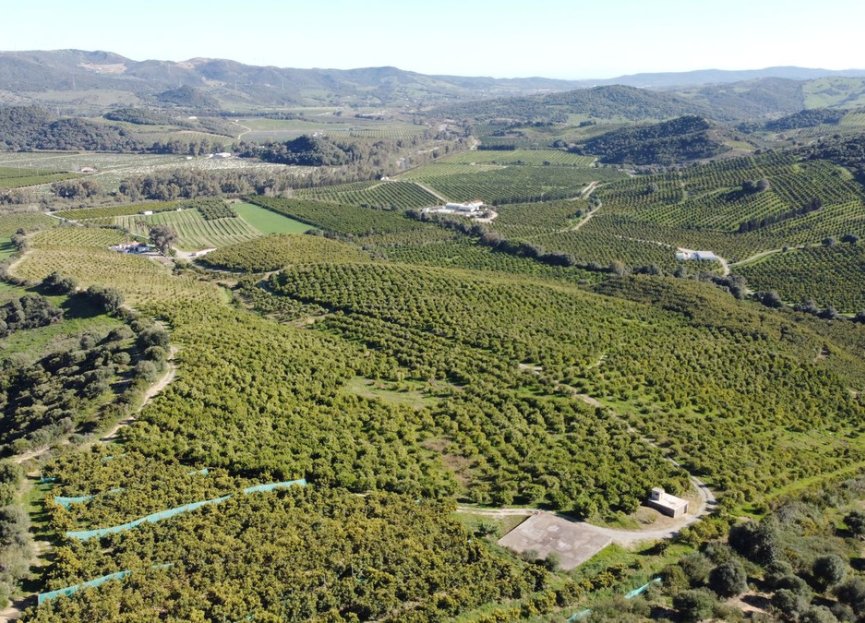 Resale - Plot - Land - Casares - Casares Centro