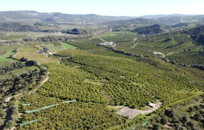 Resale - Plot - Land - Casares - Casares Centro