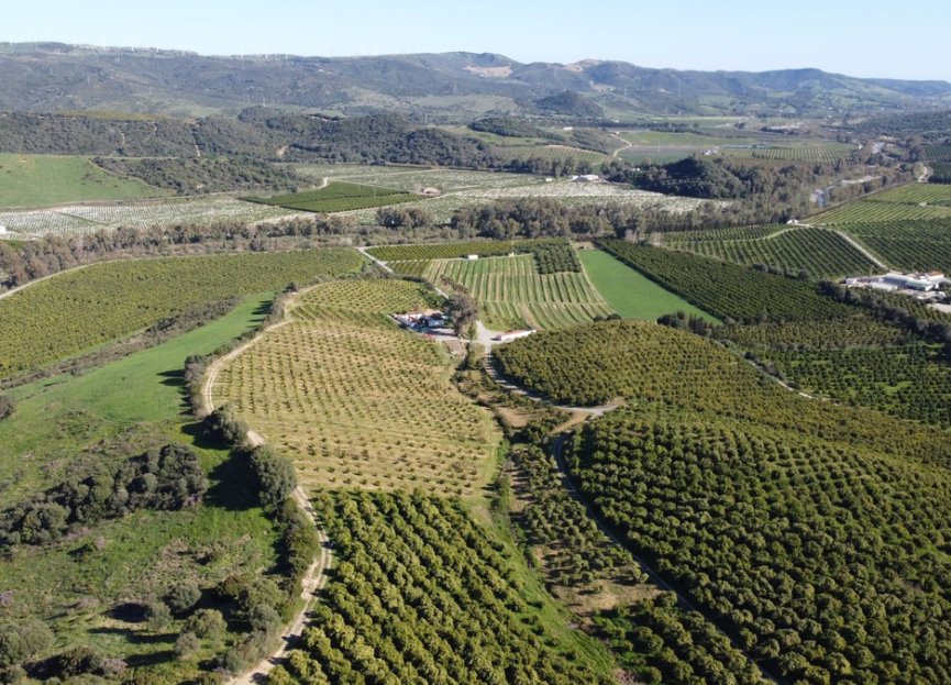 Resale - Plot - Land - Casares - Casares Centro