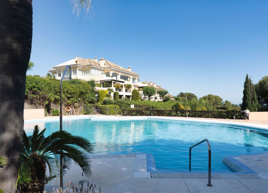 Resale - Apartment - Middle Floor Apartment - Marbella - Nueva Andalucia