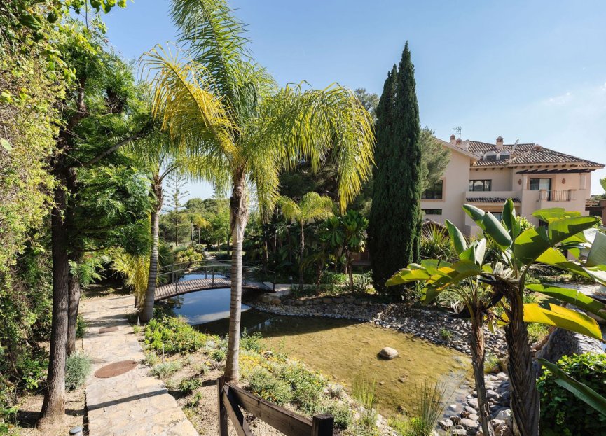 Resale - Apartment - Middle Floor Apartment - Marbella - Nueva Andalucia