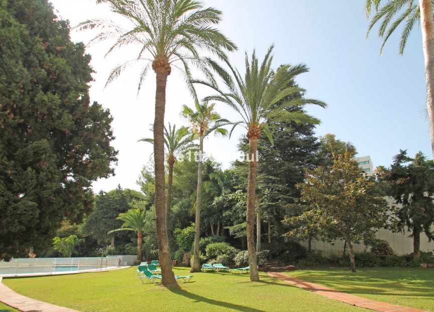 Resale - Apartment - Penthouse - Marbella - The Golden Mile