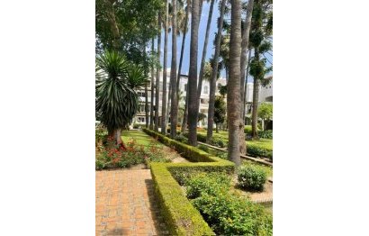 Resale - Ground floor apartment - Marbella - Puerto Banús