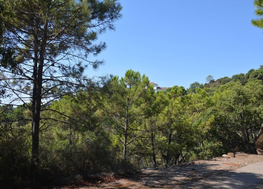 New Build - House - Detached Villa - Benahavís - Benahavís Centro